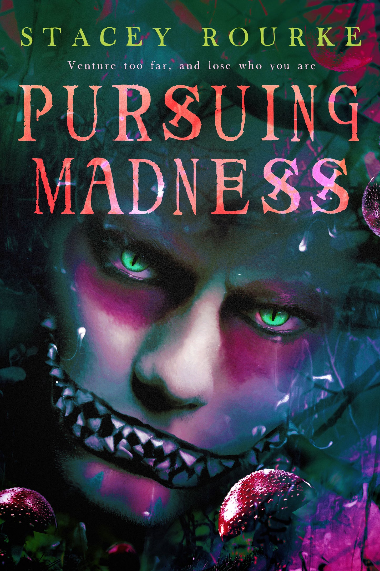 Unfortunate Soul Chronicles Vol 3 - Pursuing Madness Signed Paperback